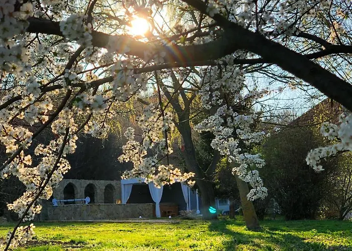 44 George House - Pool, Jacuzzi, Sauna, View בית נופש Tilaj